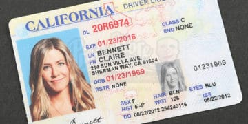 How to Get Your Driver's License in the USA